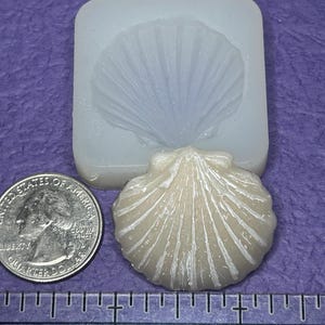 May include: A seashell-shaped craft mold and a finished seashell casting are displayed next to a quarter coin. The mold is a light, translucent color, and the casting is off-white with visible ridges. The background is a purple surface.