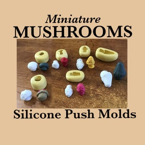 MUSHROOMS MINIATURE MOLDS, silicone mushroom molds, mushroom push molds, fairy mushroom molds, flexible molds, morel mold, set of 6