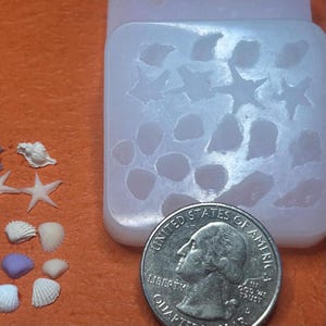 May include: A clear silicone mold with seashell and starfish shapes, next to a quarter coin and several small seashells. The mold features various shell designs, perfect for crafting projects. The quarter coin is included for size reference.