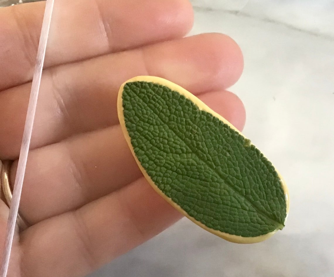 SAGE LEAF MOLD Leaf Mold Leaf Silicone Leaf Texture Mold Etsy