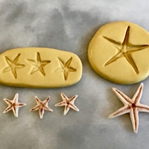 Starfish Miniature crafts silicone mold, Sea life push mold, cake decorating, beach ocean, beach house dollhouse, cute star shaped animal