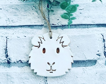 Decorate Your Own Guinea Pig, Guinea Pig Gift Tag, Hutch Decoration, Craft for Kids