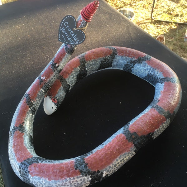 Rattle Snake Gourd