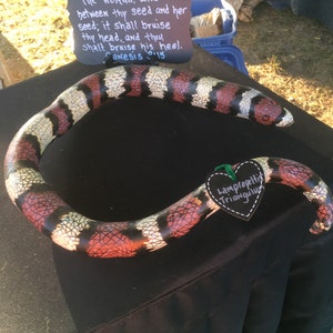 Milk Snake