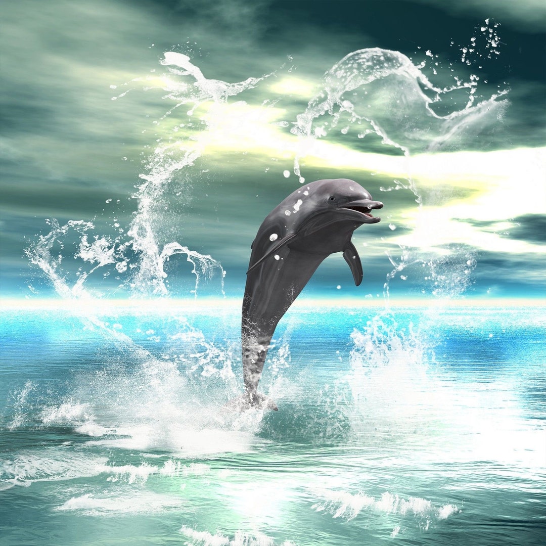 4.25 X 4.25 Ceramic Accent Tile Jumping Dolphin Etsy