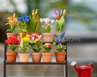 Conjunto de suporte para flores em miniatura, 10 vasos de plantas, regador vermelho, decoração em escala 1:12