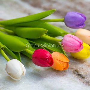 Puppenhaus Miniaturen Set bunte Tulpe Blume mit Blättern und Stiel Diorama Haus und Raum Dekoration Versorgung