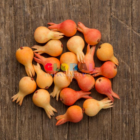 Dollhouse Miniatures Handcrafted Clay Red Apple Fruit Food Supply 1:12