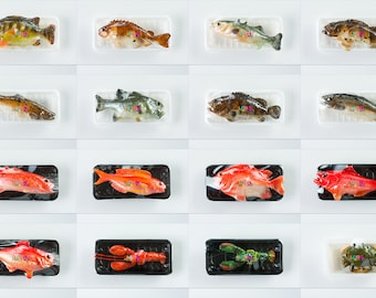 Dollhouse Miniatures Collection of Raw Fish in Foam Pack with Plastic Wrap Food Cooking Kitchen Decorating - 1:12 Scale