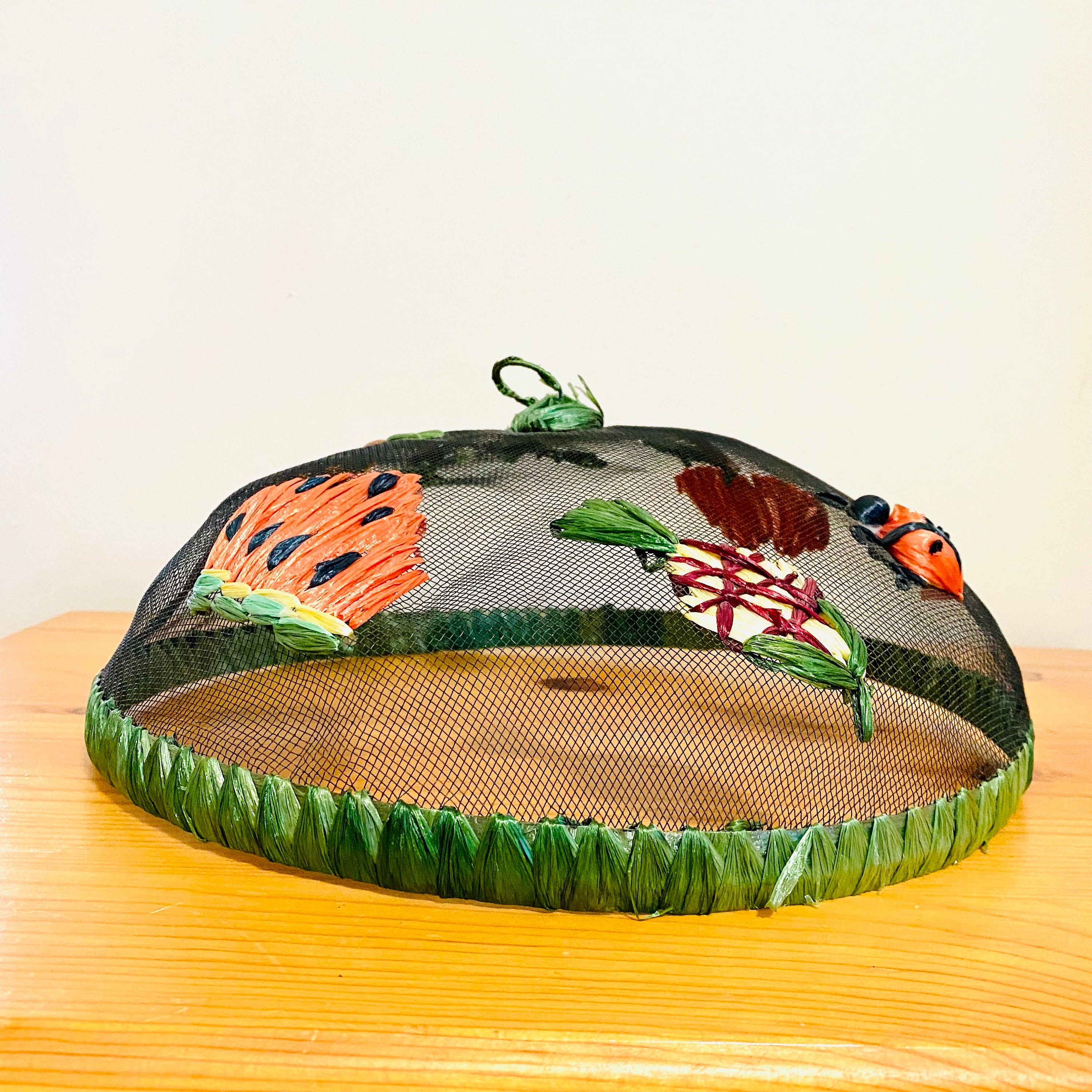 Vintage 50s 70s Seagrass Mesh Bug Fly Screen for Food Outdoors Picnic