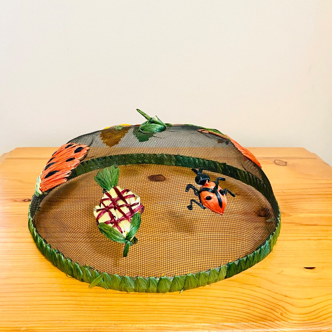 Vintage 50s 70s Seagrass Mesh Bug Fly Screen for Food Outdoors Picnic