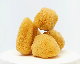 Naturschwamm / Babybad / Neugeborenen Pflege / Badeschwamm / Bio Baby Meeresschwamm