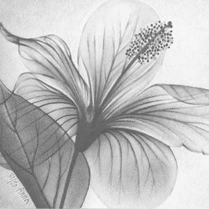 Rose Fiori Disegno A Matita In Bianco E Nero Personalizzato Da Etsy