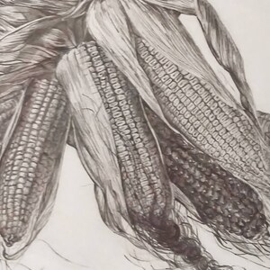 Corn Cobs Still Life Pencil Drawing from Black and White Photo Hyperrealistic Drawing Gift for Grandparents&#39; Day and All Occasions