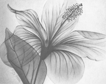 Flower Bouquet Floral Transparency Pencil Drawing Black and White Illustration Custom Portrait from Photo Bunch of Flowers Potpourri