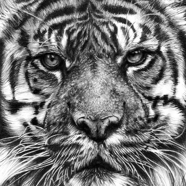 Realistic Drawing - Etsy