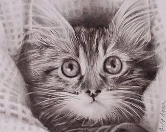 Cat Pet Portrait Cat Drawing Pencil Drawing Black and White Drawing Drawing from Photo Gift Idea Animal Portraits