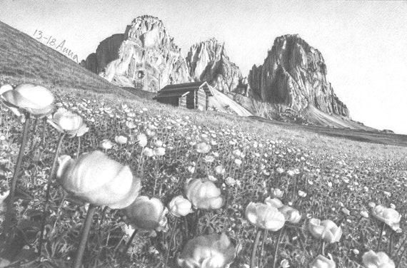 Paesaggio Di Montagna Panorama Disegno Di Fiori Primavera Prato Viaggio Vacanze Disegno Da Foto Personalizzato Regalo Per Tutte Le Occasioni