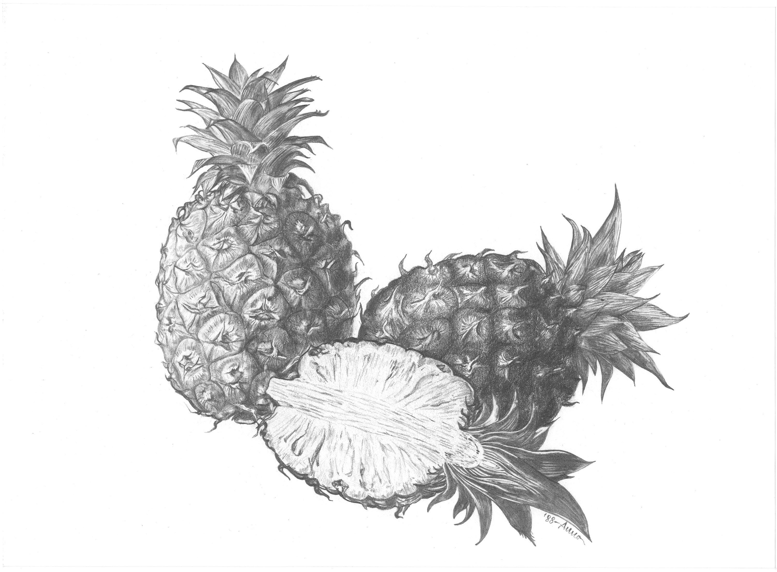 Realistic Pineapple Outline Tattoo - wide 10
