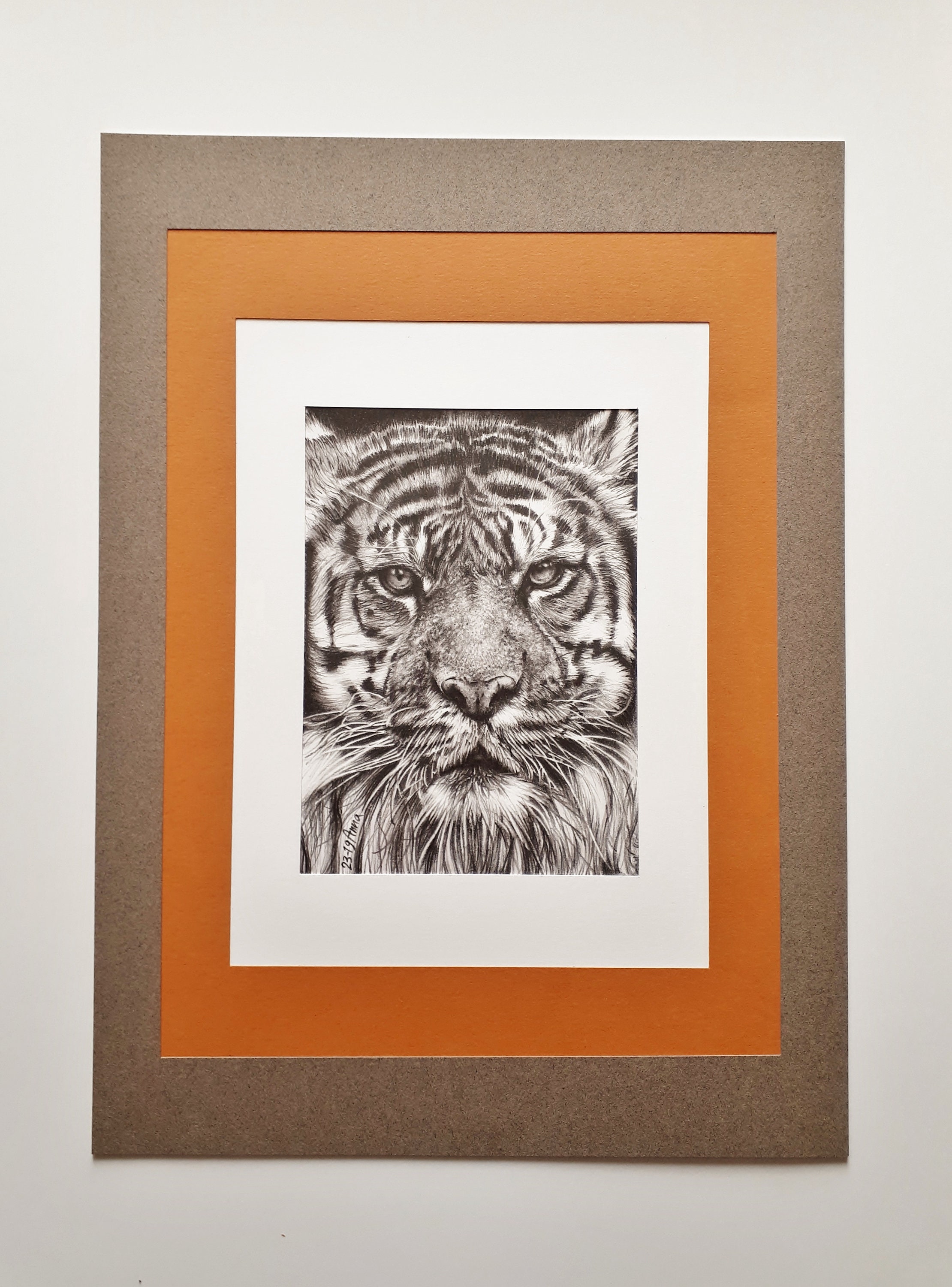 トラの肖像画 動物 写真から描画 リアルな鉛筆画 イラスト 白黒