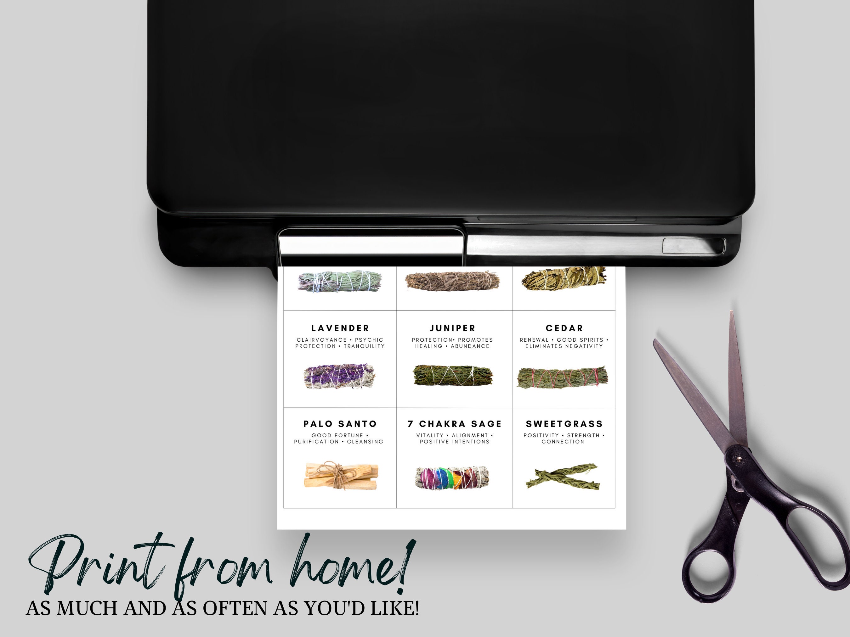 Smudge Stick Identification Poster Smudging Properties Chart - Etsy