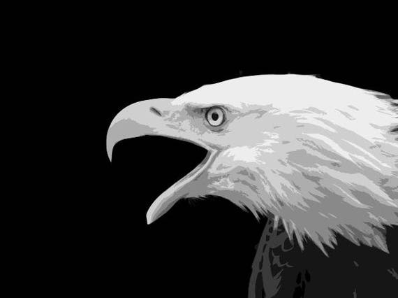 bald eagle layered cut template instant download eagle etsy