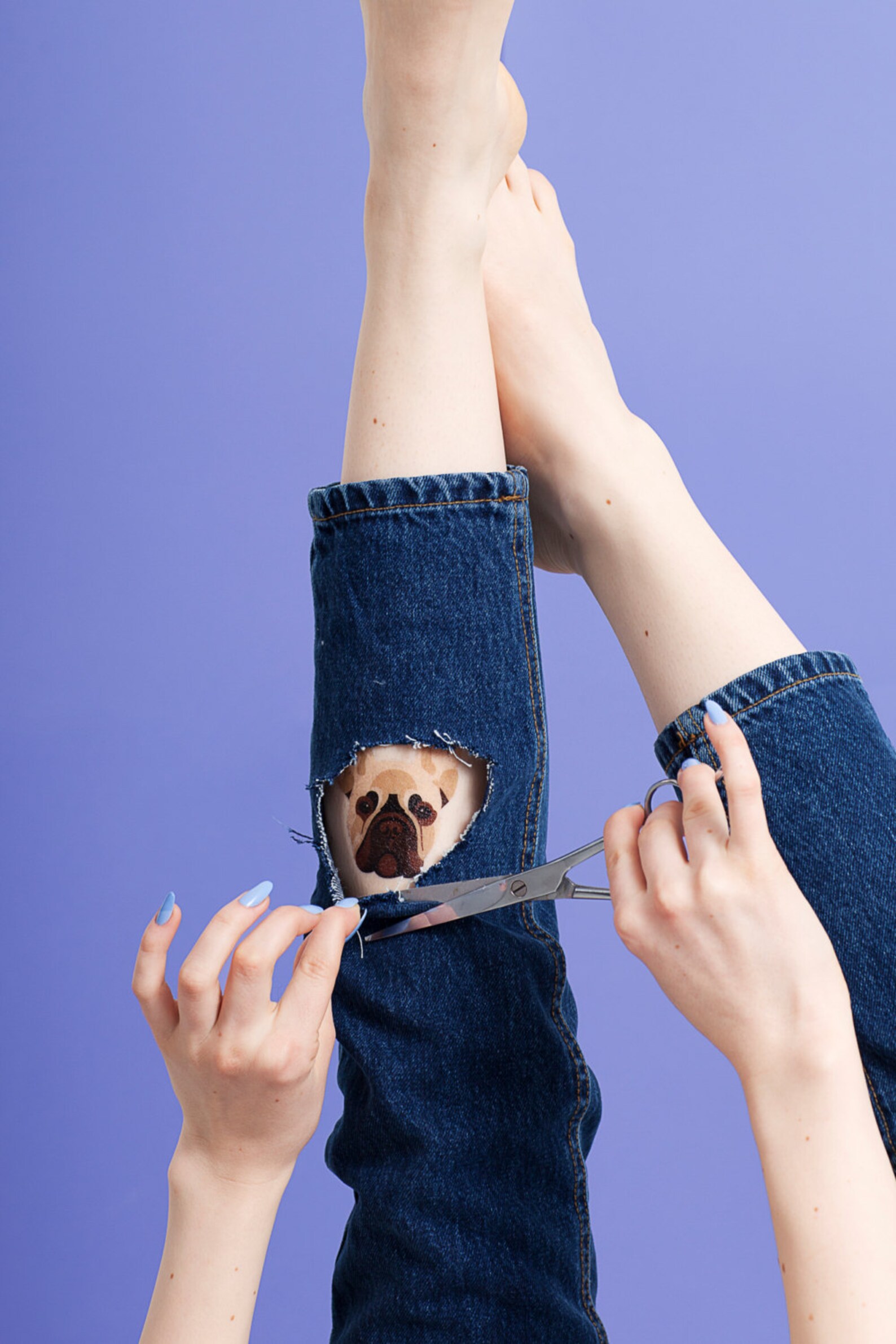 4 FRENCH BULLDOG temporary tattoo pack Dog temporary tattoo Etsy