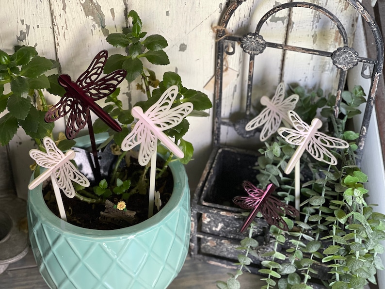 May include: Five decorative dragonfly garden stakes in a variety of colors, including pink, white, and burgundy. The stakes are inserted into potted plants.