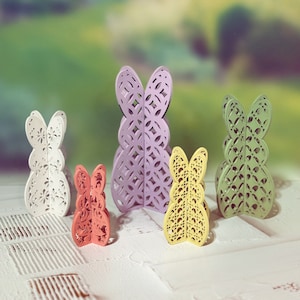 Ensemble de 5 lapins 3D style ferme en téléchargement numérique SVG pour Glowforge ou laser pour 1/8" matériel seulement pas un article physique