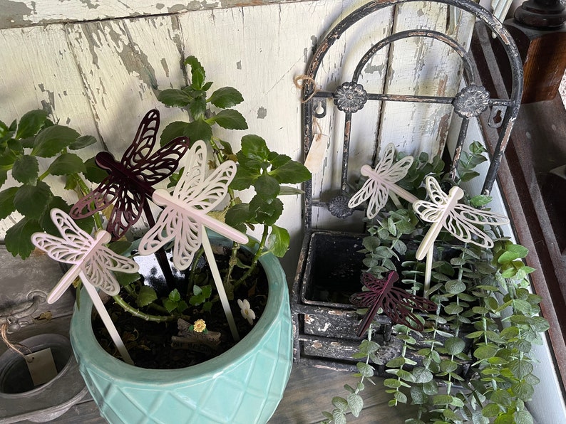 May include: A close-up of a potted plant with five dragonfly garden stakes. Two of the stakes are white with pink accents and three are brown. The stakes are inserted into the soil of the potted plant. The plant is in a light blue pot with a textured pattern. The pot is sitting on a wooden surface.