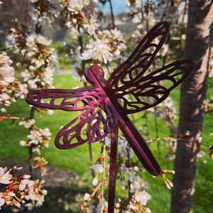 May include: A metal dragonfly garden stake with a burgundy finish. The dragonfly is detailed with intricate cutouts and is positioned against a backdrop of white blossoms.