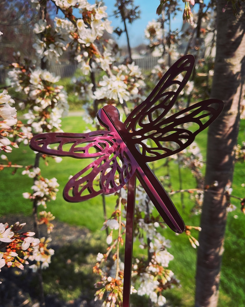 May include: A metal dragonfly garden stake with a burgundy finish. The dragonfly is detailed with intricate cutouts and is positioned against a backdrop of white blossoms.