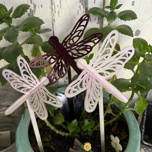 May include: Three decorative dragonfly garden stakes, two white and one burgundy, are placed in a potted plant. The stakes are made of metal and have a delicate, intricate design. The plant is a small, leafy green plant with a brown pot.