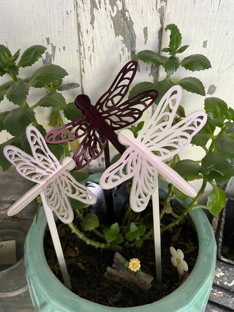 May include: Three decorative dragonfly garden stakes, two white and one burgundy, are placed in a potted plant. The stakes are made of metal and have a delicate, intricate design. The plant is a small, leafy green plant with a brown pot.