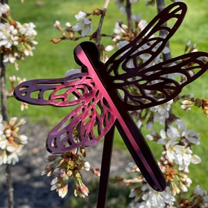 May include: A burgundy metal dragonfly garden stake with intricate cutouts. The stake is placed in front of a bush with white blossoms.