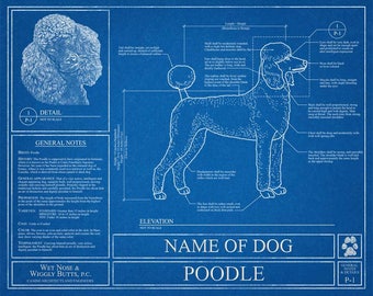 Personalized Poodle Blueprint / Poodle Art / Poodle Wall Art / Poodle Gift / Poodle Print
