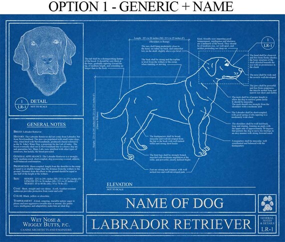 labrador retriever gifts