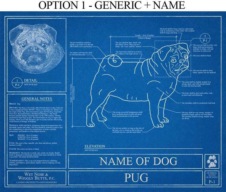 Personalized Pug Blueprint / Pug Art / Pug Wall Art / Pug Gift | Etsy