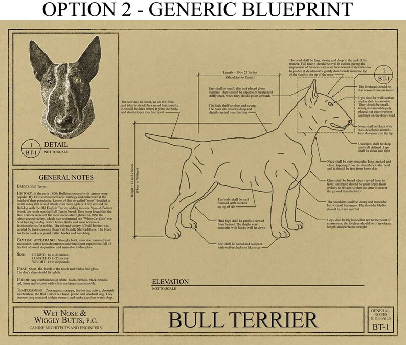 Personalized Bull Terrier Blueprint / Bull Terrier Art / Bull Etsy