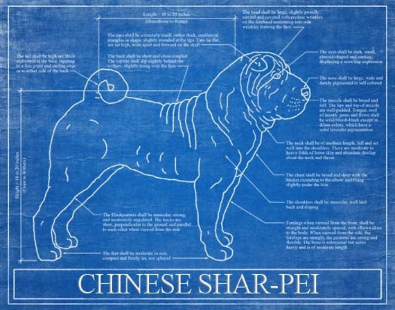Chinese Shar Pei Blueprint Elevation Chinese Shar Pei Art Etsy