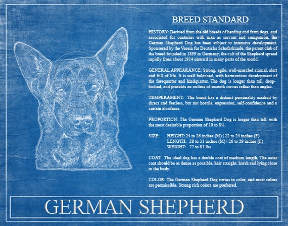 German Shepherd Portrait German Shepherd Art German Etsy