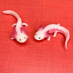 1:6 Scale Miniature Axolotls Dollhouse Amphibians-Fashion Doll or Elf pet-Tiny Axolotl Figurines
