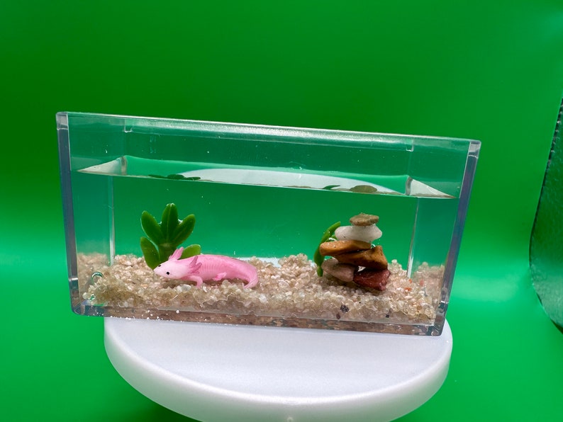 May include: A small clear plastic terrarium with a pink axolotl figurine, a small green plant, and a stack of brown and white rocks. The terrarium is filled with sand and water.
