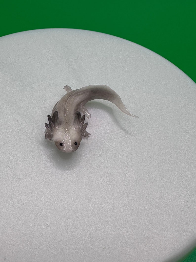 May include: A white axolotl with black eyes and gills, viewed from above, on a white surface.