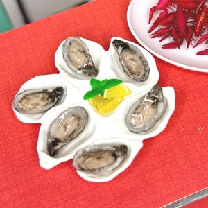 May include: A white ceramic oyster plate with six oysters arranged in a flower shape. The oysters are open and show their gray and black interiors. A small sprig of green parsley and a few slices of lemon are in the center of the plate.