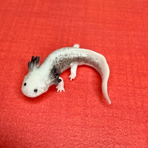 May include: A white and black axolotl figurine with black eyes and a curled tail. The figurine is on a red background.