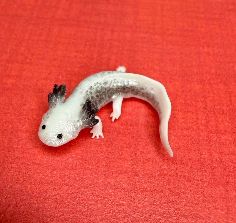 May include: A white and black axolotl figurine with black eyes and a curled tail. The figurine is on a red background.