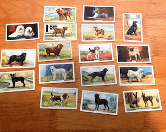Tarjetas de cigarrillos Gallaher vintage, 2.ª serie de perros, 17 tarjetas de 40 en juego, 05065