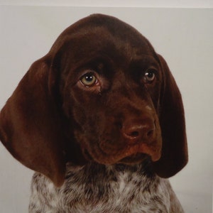 Brown Puppy Dog Notebook