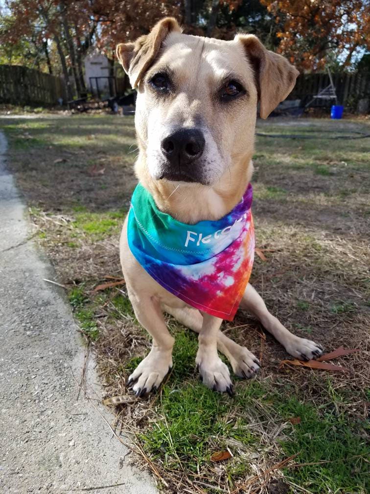 Tie Dye Dog Bandana Tie Dye Collar Bandana Tie Dye Dog Gift